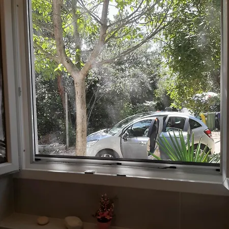 Apartment Fiore & Krk Town